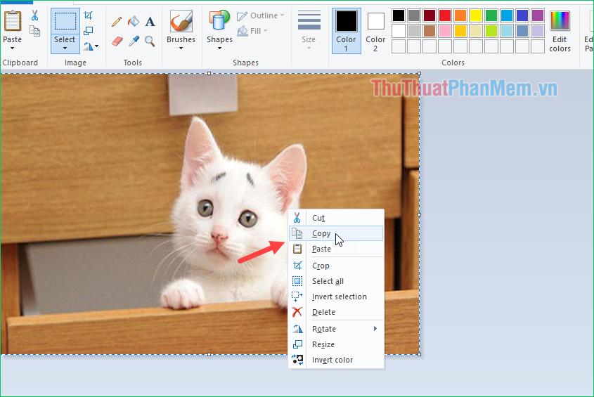 How to transplant photos on a computer simple, fast Picture 5