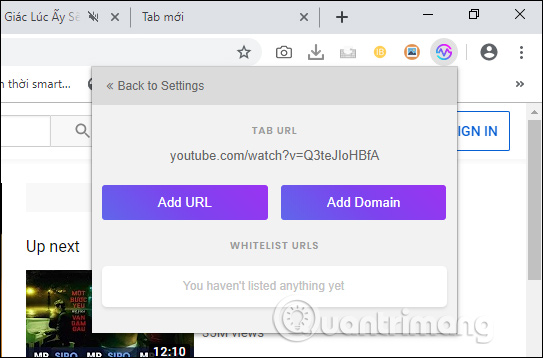 How to turn off the entire tab fast sound on Chrome Picture 7
