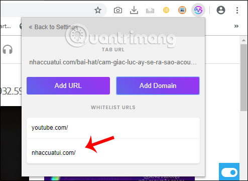 How to turn off the entire tab fast sound on Chrome Picture 8