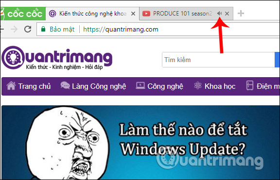 How to turn off the sound on Coc Coc Browser tab Picture 5