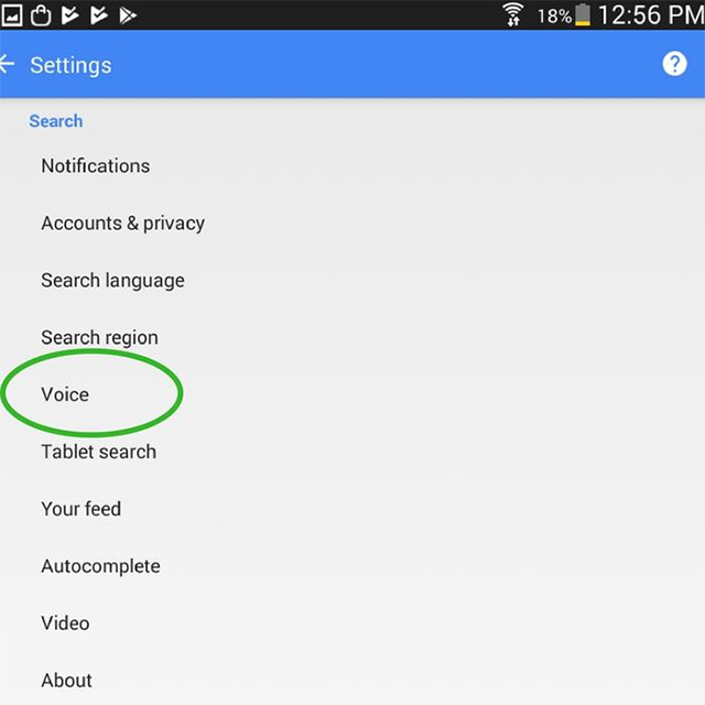 How to turn old Android phones into smart speakers Picture 3
