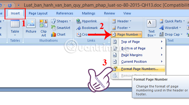 how to insert different format page numbers in word 2007