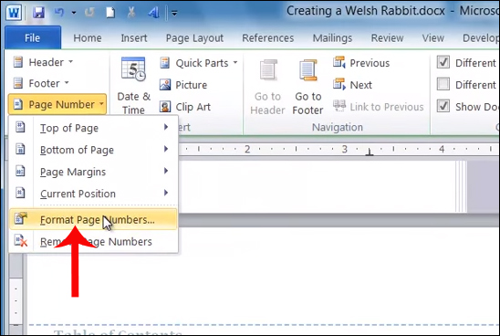 How to type pages in Word 2010 Picture 5