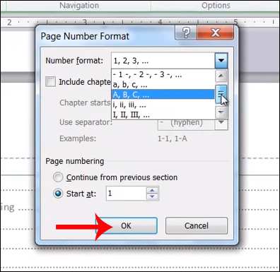 How to type pages in Word 2010 Picture 6