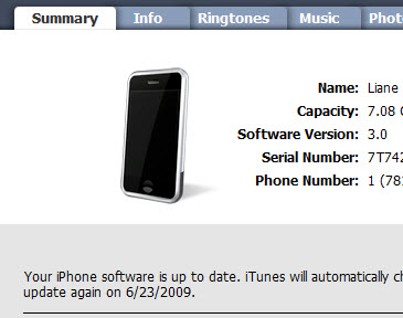 How to update software in your iPhone device Picture 8