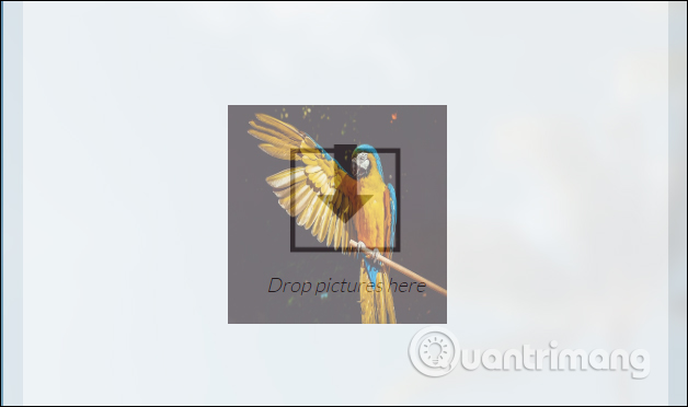 How to upload multiple photos on Pixabay Picture 3