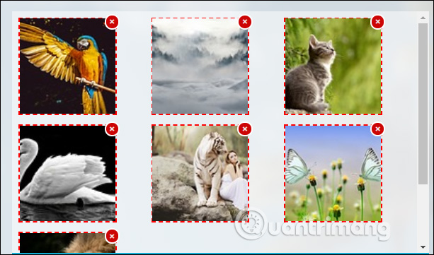 How to upload multiple photos on Pixabay Picture 4