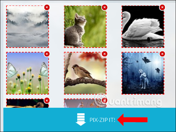 How to upload multiple photos on Pixabay Picture 5