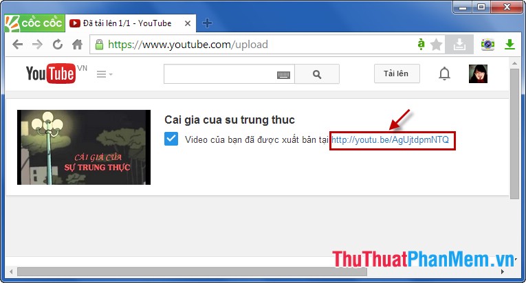 images 11 of How to upload Videos to Youtube