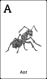 How to use Animal 4D to create 4D animals on the phone Picture 13