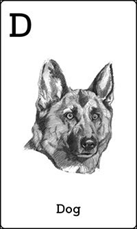 How to use Animal 4D to create 4D animals on the phone Picture 14