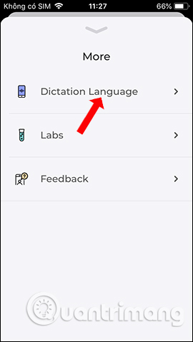 How to use Brill to create notes via voice on iPhone Picture 20