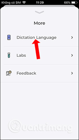 How to use Brill to create notes via voice on iPhone Picture 25