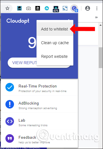 How to use Cloudopt AdBlocker to block ads to surf the web Picture 5