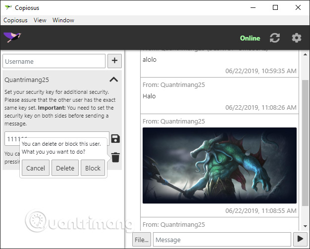 How to use Copiosus P2P chat security on Windows 10 Picture 10