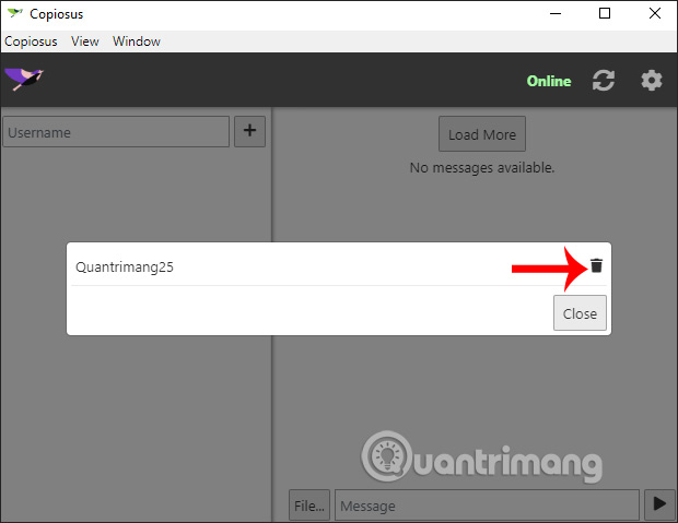 How to use Copiosus P2P chat security on Windows 10 Picture 12