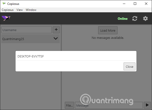 How to use Copiosus P2P chat security on Windows 10 Picture 13