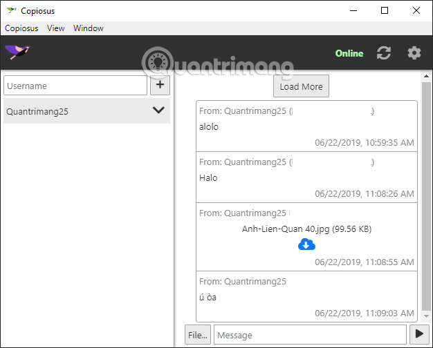How to use Copiosus P2P chat security on Windows 10 Picture 8