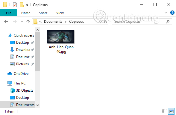 How to use Copiosus P2P chat security on Windows 10 Picture 9
