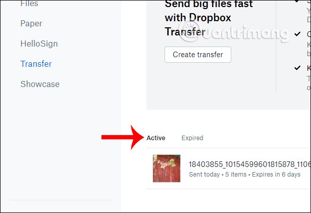 How to use Dropbox Transfer to send files online Picture 10