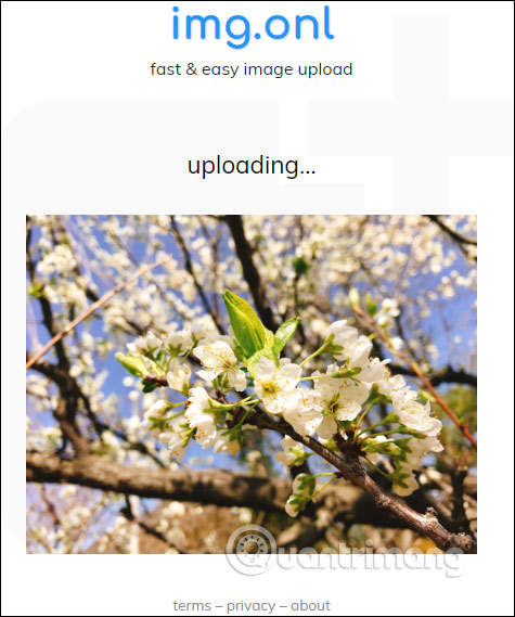 How to use img.onl to share photos for free Picture 2