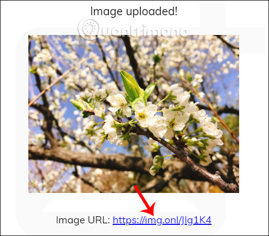 How to use img.onl to share photos for free Picture 3