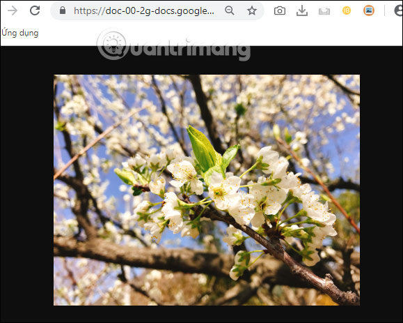 How to use img.onl to share photos for free Picture 4