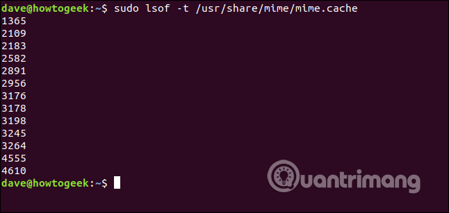 How to use Isof command on Linux Picture 19