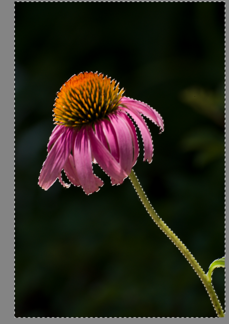 How to Use Layer Masks in Zoner Photo Studio X Picture 6