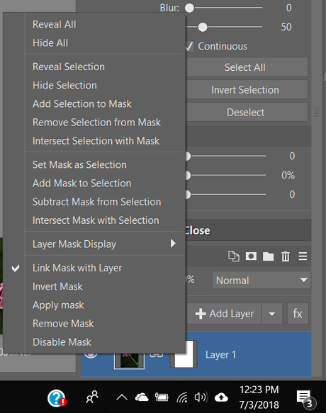 How to Use Layer Masks in Zoner Photo Studio X Picture 7