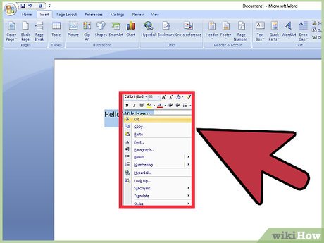 How to Use Microsoft Word Picture 17