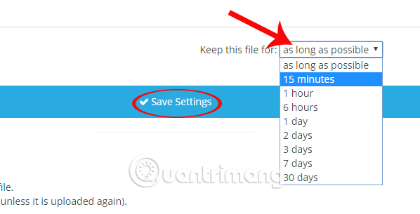 How to use Nofile.io to send online data up to 10GB Picture 10