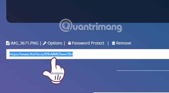 How to use Nofile.io to send online data up to 10GB Picture 11