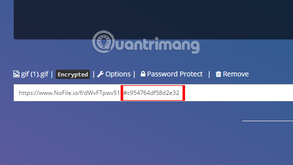 How to use Nofile.io to send online data up to 10GB Picture 13