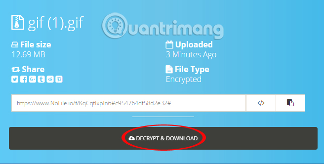 How to use Nofile.io to send online data up to 10GB Picture 15