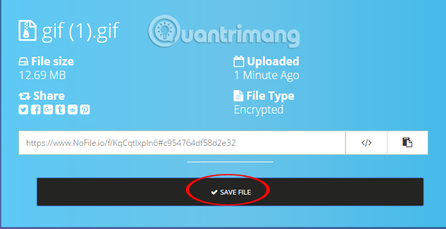 How to use Nofile.io to send online data up to 10GB Picture 16