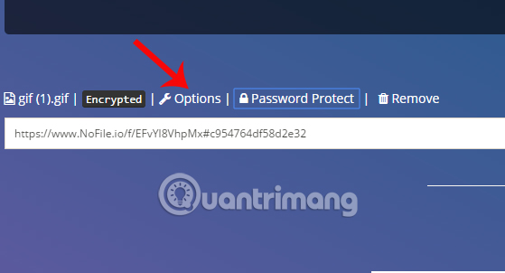 How to use Nofile.io to send online data up to 10GB Picture 8