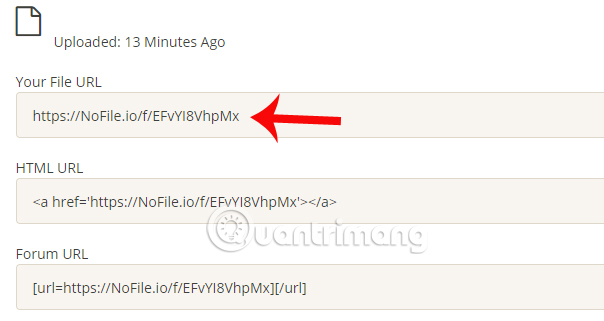 How to use Nofile.io to send online data up to 10GB Picture 9