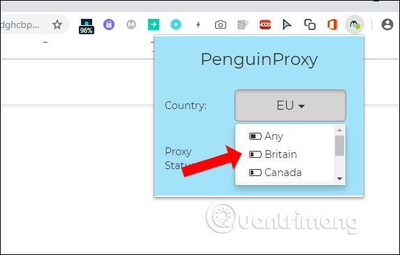 How to use PenguinProxy to connect to a virtual private network Picture 10