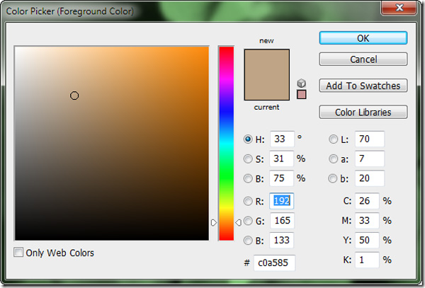 How to use Photoshop CS5 - Part 11: Change colors from black and white photos Picture 6