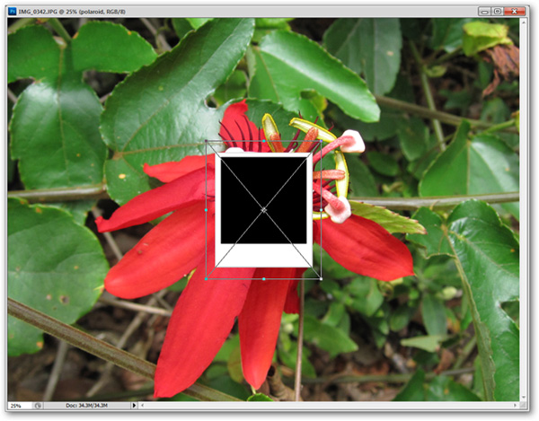 How to use Photoshop CS5 - Part 17: Batch image processing with Photoshop Actions Picture 15