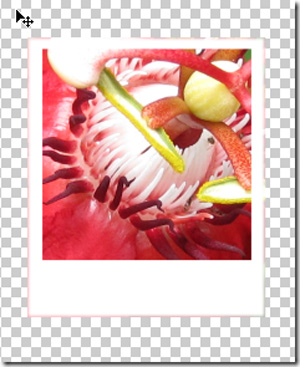 How to use Photoshop CS5 - Part 17: Batch image processing with Photoshop Actions Picture 22