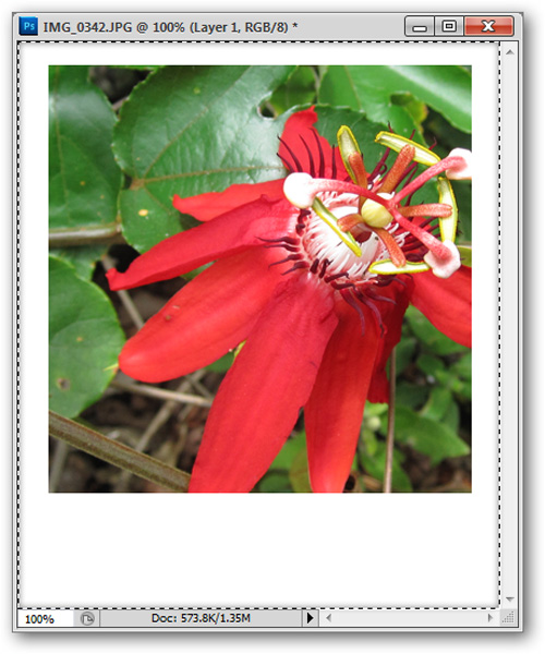 How to use Photoshop CS5 - Part 17: Batch image processing with Photoshop Actions Picture 27