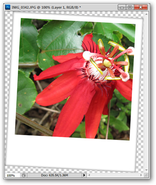 How to use Photoshop CS5 - Part 17: Batch image processing with Photoshop Actions Picture 29