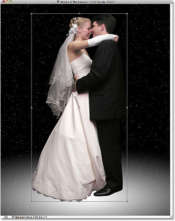 How to use Photoshop CS5 - Part 23: Create artwork Picture 31