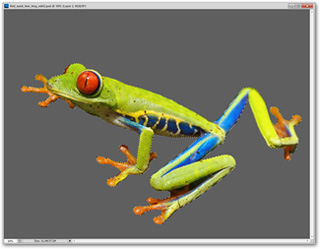 How to use Photoshop CS5 - Part 4: Basic menus Picture 10