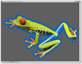 How to use Photoshop CS5 - Part 4: Basic menus Picture 11