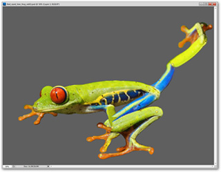 How to use Photoshop CS5 - Part 4: Basic menus Picture 13