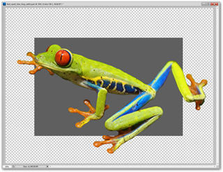How to use Photoshop CS5 - Part 4: Basic menus Picture 23
