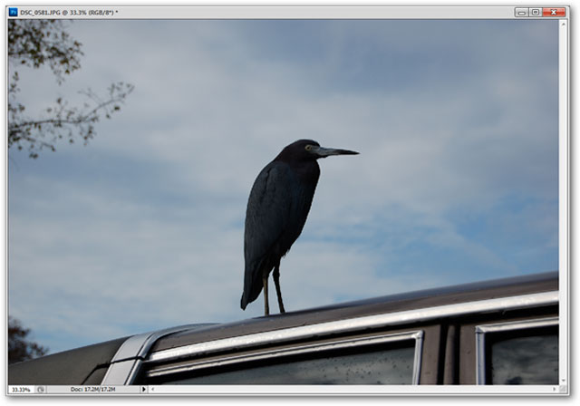 How to use Photoshop CS5 - Part 5: Photo editing Picture 6